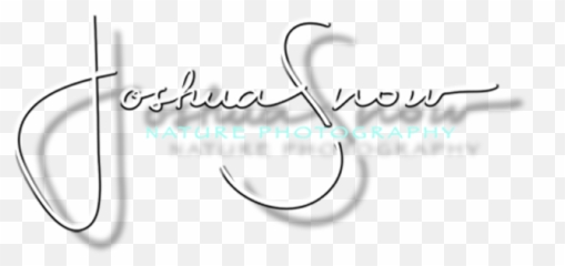 Prints - Joshua Snow Fine Art Photography Workshops And Prints Emoji,Emotions On Paper Photography