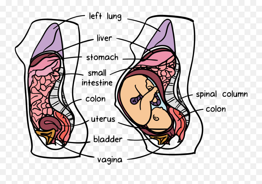 Dron U2013 Medium - Digestive Organs During Pregnancy Emoji,Icq Emoticon Gif Codes Within Colons