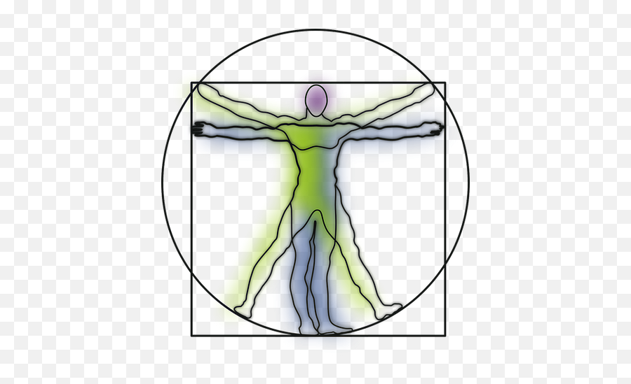 Reflexology Alcenter - Vitruvian Man Da Vinci Human Body Emoji,Science Ties Emotions To Body Organs?
