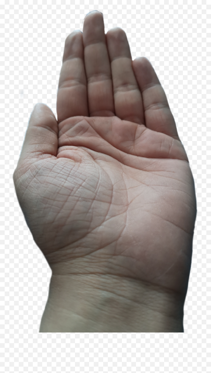 Hand Palmofmyhand Sticker By Hannabonecrusheredits - Sign Language Emoji,Emoji Giving The Finger