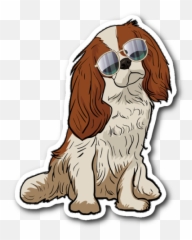 Cavalier King Charles Spaniel Dog - Cavalier King Charles Comics Emoji,Cavalier King Charles Spaniel Sticker Emoji