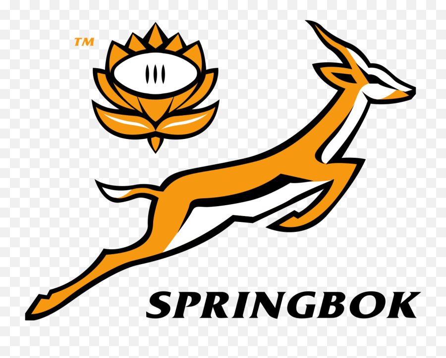 Httpwwwletelegrammefrfootballespagne - Griezmannforce Springbok Sa Rugby Logo Emoji,Roscoff Emotion