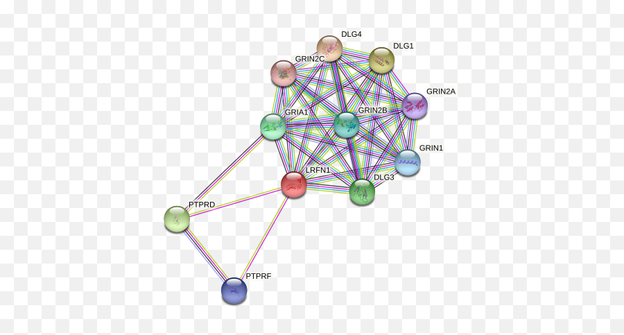 Lrfn1 Protein Human - String Interaction Network Emoji,Agt Secrete Emotion