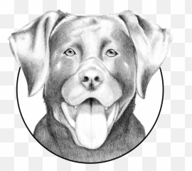 Testimonials U2014 Milo U0026 Co Emoji,Birthday Emoticons For Bassets