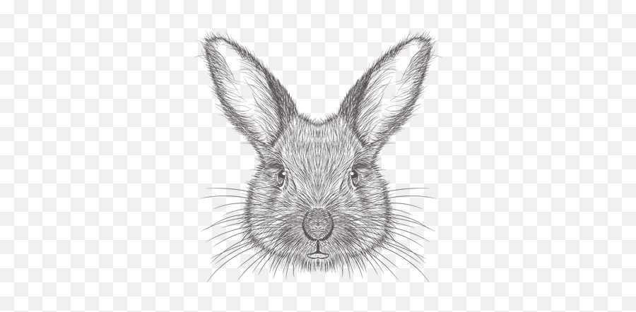 Premium Rabbit 3d Illustration Download In Png Obj Or Blend Emoji,Black Rabbit Emoji