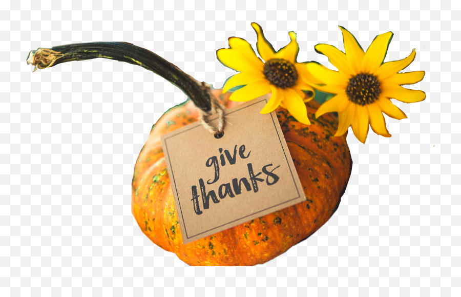 Thanks Ty Thanku Thankyou Sticker - Thanksgiving Christian Quotes Emoji,Turkey And Pie Emoji