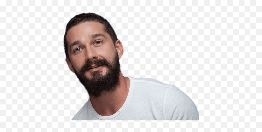 Download Shia Labeouf White Tshirt - Transparent Shia Labeouf Png Emoji,Shia Le Bouf Emoji'