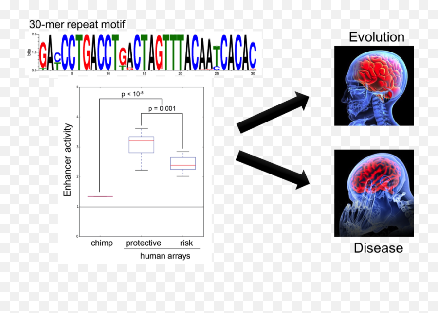 Computational Evolutionary - Vertical Emoji,Jeff Dunham Peanut Various Emotions