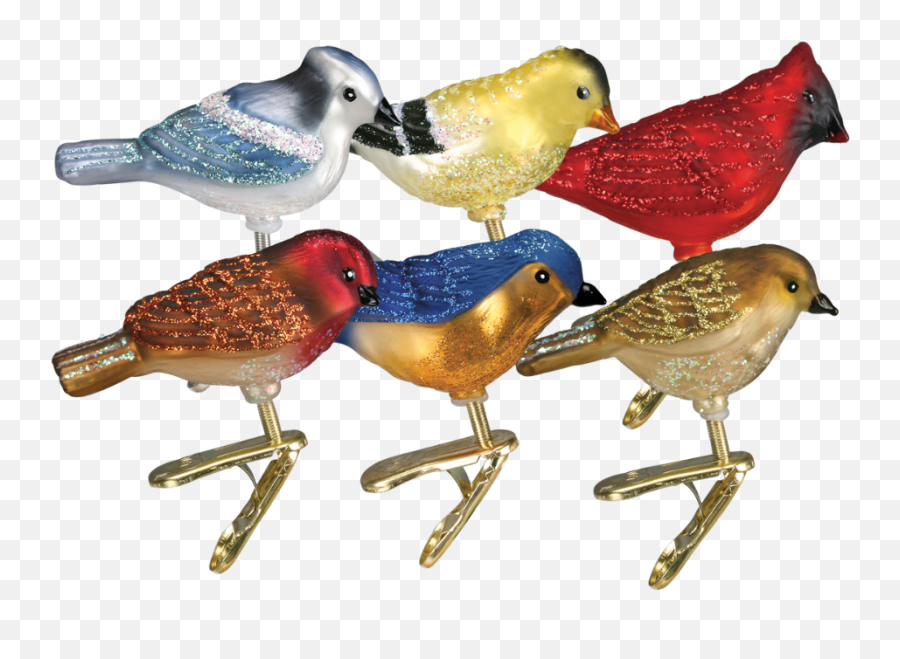 Old World Christmas Bird Ornaments Putti Christmas - Songbird Ornaments Emoji,Oriole Emoji