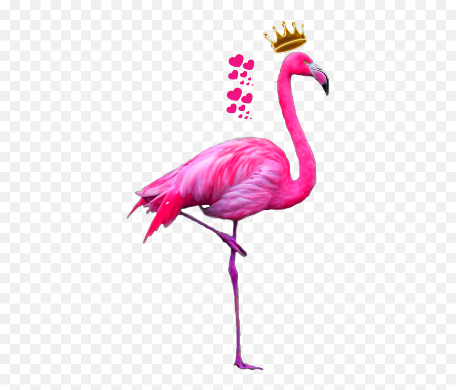 Pink Heart Snapchat Filters Png - Flamingo Png Emoji,Pink Flamingo Emoji