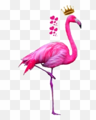 Pink Heart Snapchat Filters Png - Flamingo Png Emoji,Pink Flamingo Emoji