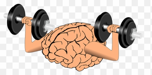 Brain Growth Learning - Free Vector Graphic On Pixabay Brain Training Png Emoji,Physical Emotion Clipart