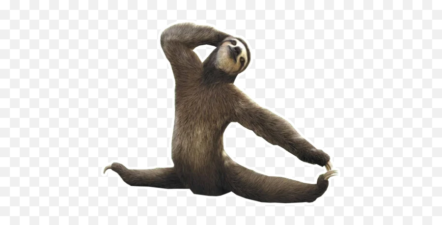 Telegram Sticker U200d From Fun Sloth Pack Emoji,Sloth Emoji