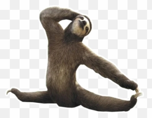 Telegram Sticker U200d From Fun Sloth Pack Emoji,Sloth Emoji