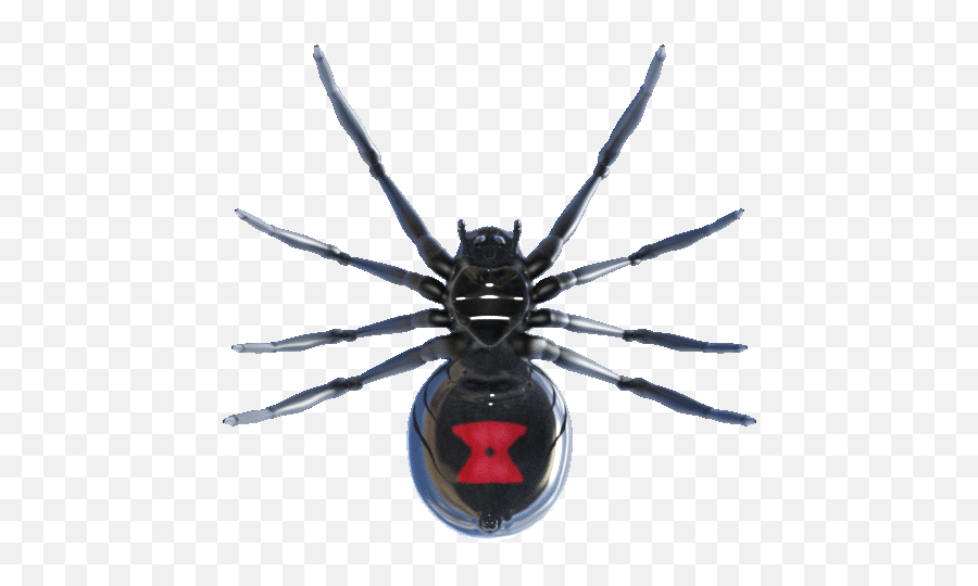 Balenciaga Spider Gif - Parasitism Emoji,Spider Emoji