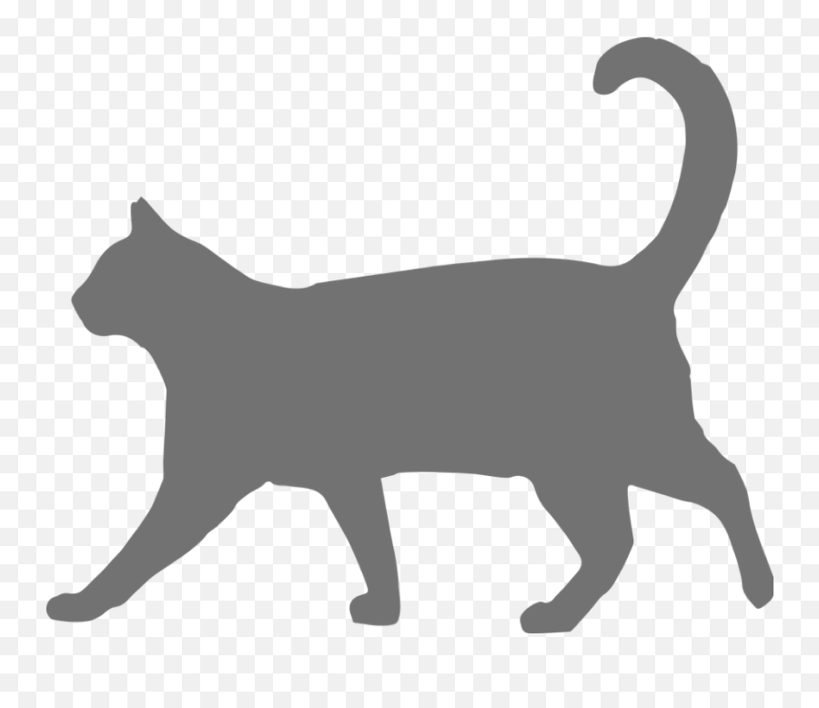 Cats - The Good Vet And Pet Guide Vector Cat Walking Silhouette Emoji,Cat Heart Eyes Emoji Pillow