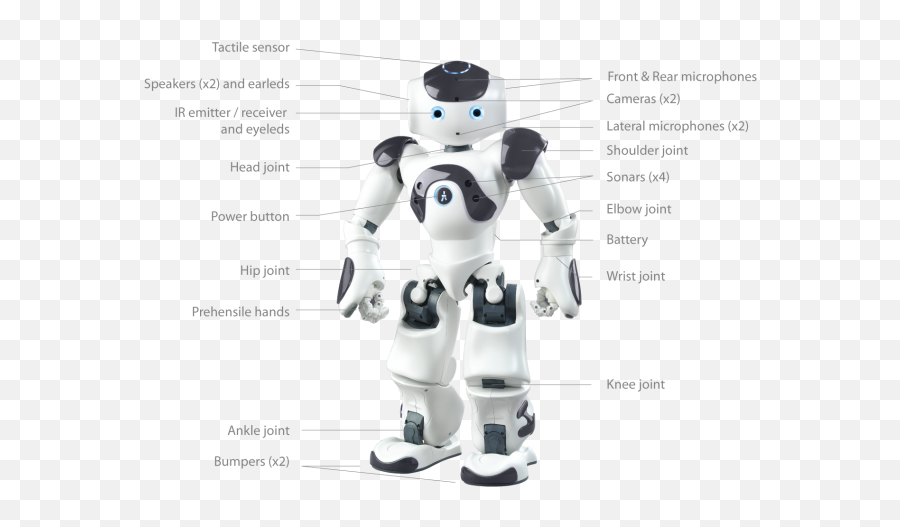 The 12 Best Home Robots You Can Buy - Nao Robot Features Emoji,Shows Emotion Robot Pet