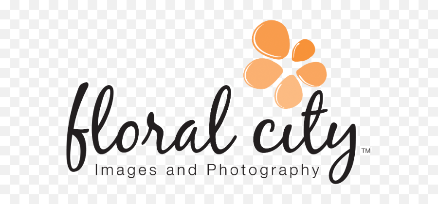 Home - Floral City Images Dot Emoji,Emotion Dance Headshots