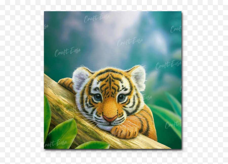 Best Paint By Number Kit Paint By Numbersu2013 Craft - Ease Tiger Expressive Animal Paintings Emoji,Emotions Face Preschool Craf