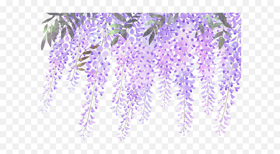 Download Wisteria Flower Purple - Lavender Invitation Templates Emoji,Facebook's Lavendar Flower As An Emoticon...