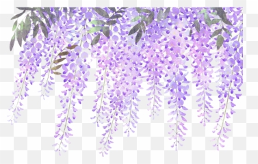 Download Wisteria Flower Purple - Lavender Invitation Templates Emoji,Facebook's Lavendar Flower As An Emoticon...