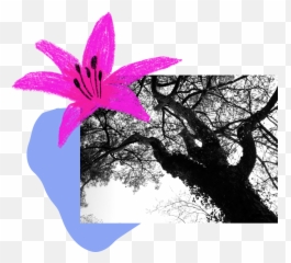 Life Coaching - Girly Emoji,Emotions Reconversion For Dancers