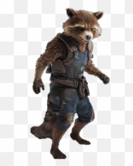 Download Raccoon Cartoon Rocket Download Free Image Hq Png Emoji,Cartoon Raccoon No Emotion