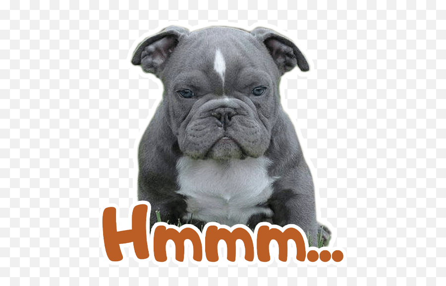 Pack Of Stickers For Whatsapp Depitbulls Emoji,Pitbull Emoji Stickers