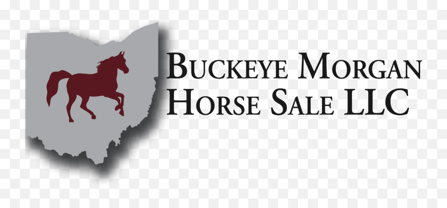 2019 Sale Results Buckeye Morgan Horse Sale Emoji,Mustang 3 Sweet Emotion