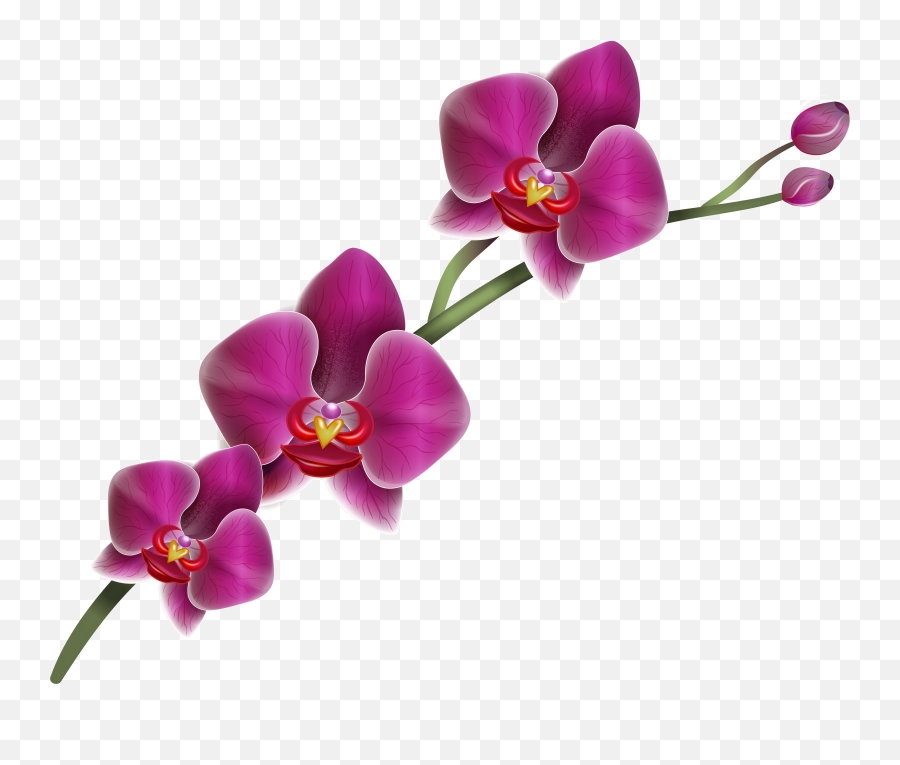 Purple Clipart Image Gallery Clip Art - Transparent Purple Orchid Png Emoji,Orchid Emoji