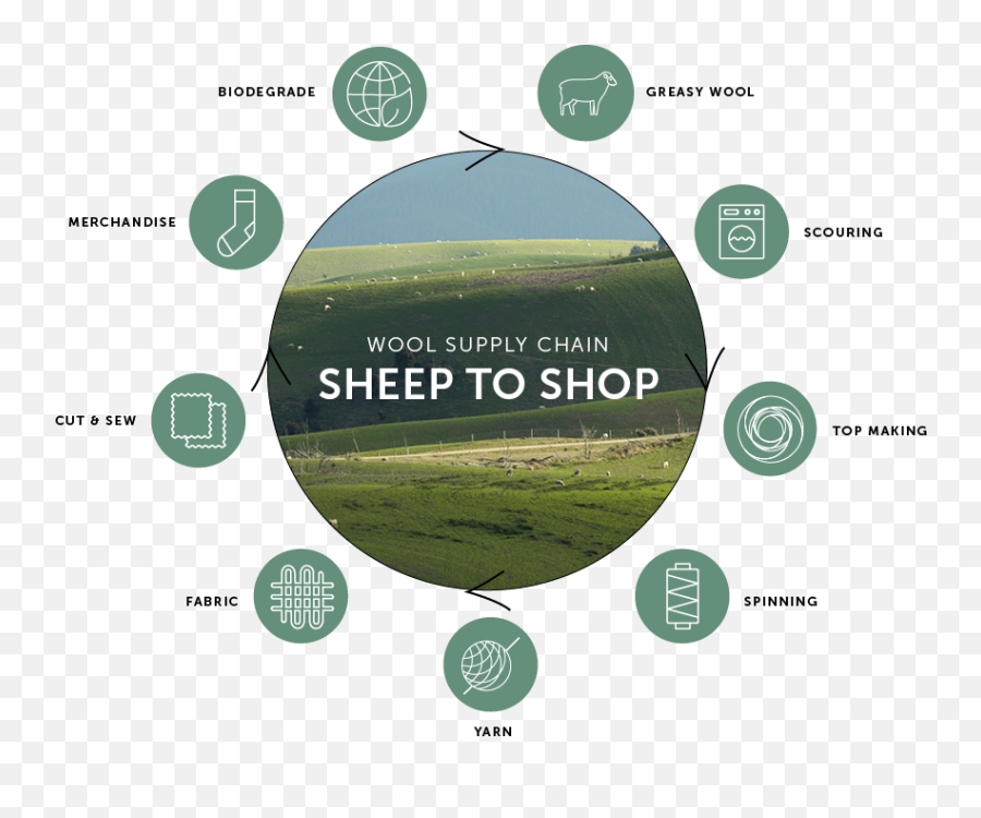 From Sheep To Shop - How Your Wool Clothes Are Made Emoji,Sheep In Mask Emoticon