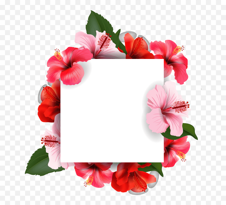 Flowers - Floral Emoji,Emoji Wallpaper Border