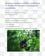 Orangutan Land Trust - Bird Emoji,Orangutan Showing Emotions