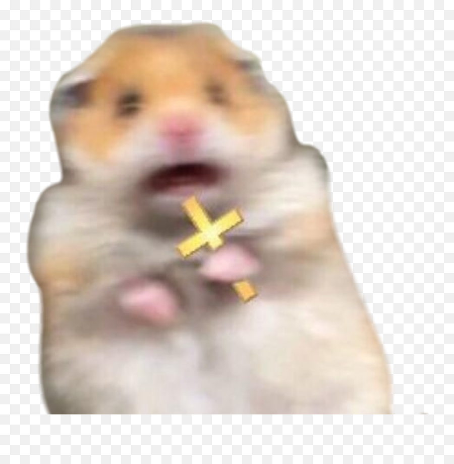 The Most Edited Ahhh Picsart - Scared Hamster Emoji,Destiny Finger Wag Emoticon