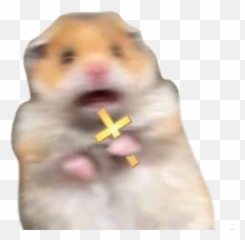 The Most Edited Ahhh Picsart - Scared Hamster Emoji,Destiny Finger Wag Emoticon