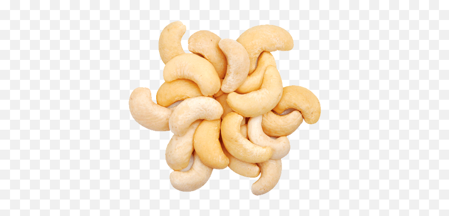 Cashew Nut Png Resolution556x358 Transparent Png Image - Cashew Nut Png Emoji,Nuts Emoji