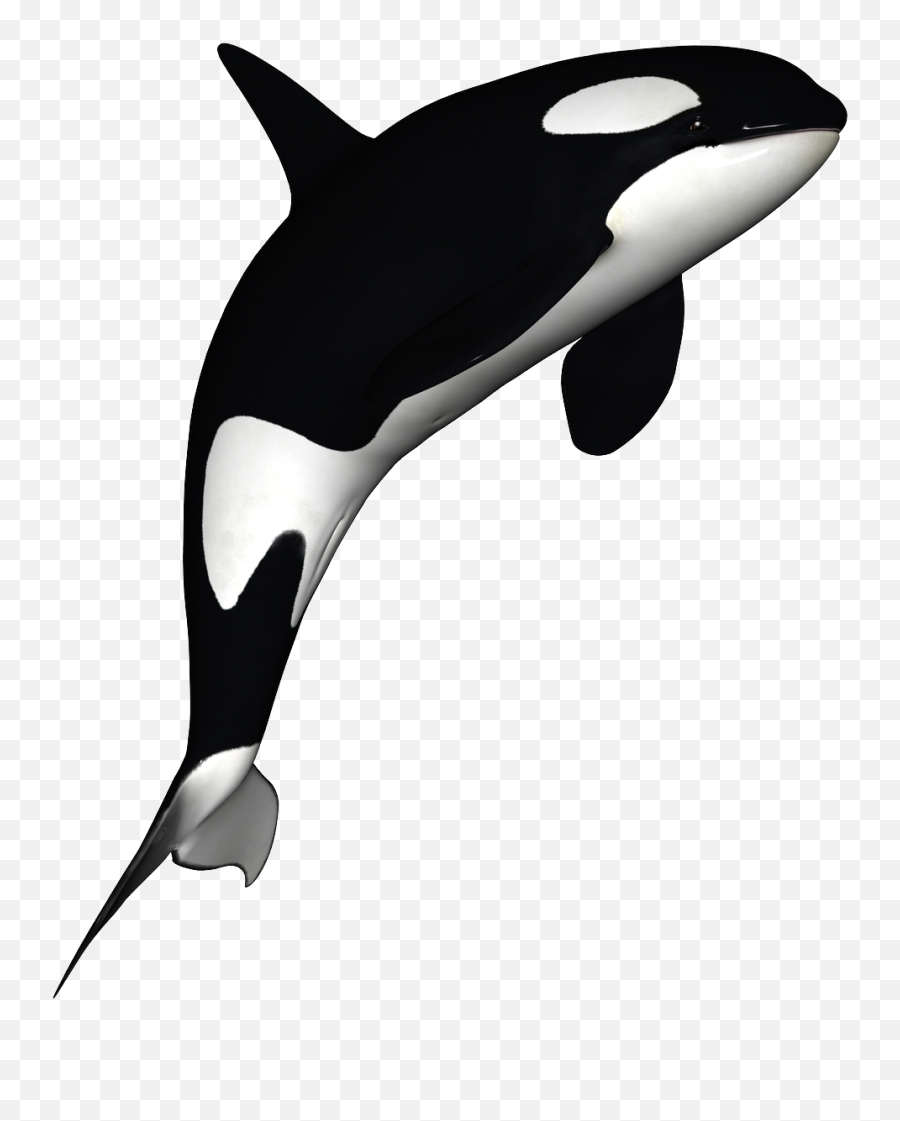 Pin - Orca Clipart Emoji,Orca Emoji