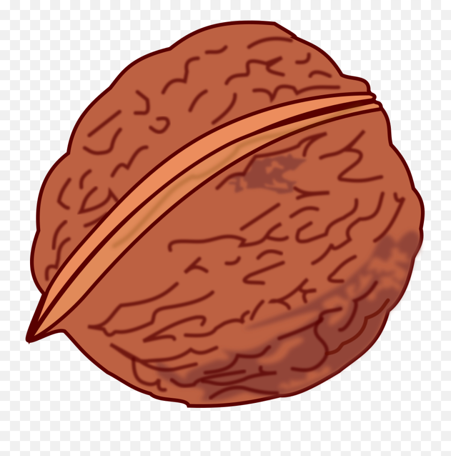 1 - Free Cliparts U0026 Png 1 Walnut Clipart Emoji,Walnut Emoji