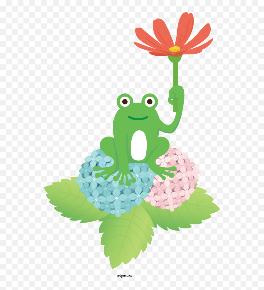 Animals Leaf Frogs Cartoon For Frog - Frog Clipart Animals Emoji,Mable Leaf Emoji