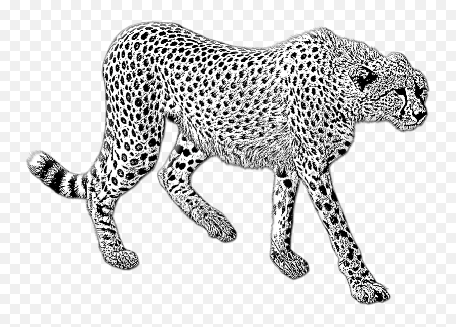 Cheetah Clipart - Cheetah Clipart Black And White Emoji,Cheetah Emoji