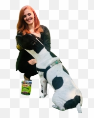 About Evolve Animal Behavior Consulting - Dog Clothes Emoji,Dog Emotion And Cognition