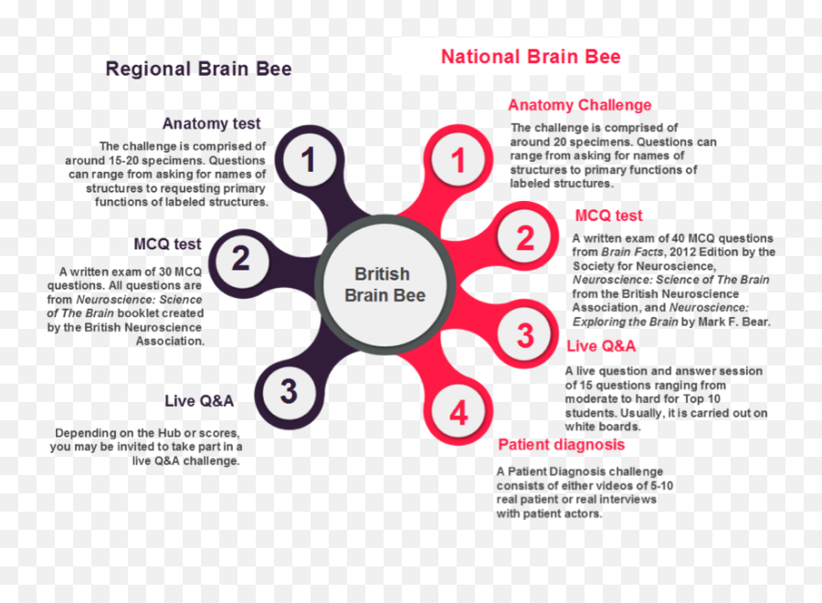 Bright Brains Online The British Neuroscience Association - International Brain Bee Sample Questions Emoji,Eric Kandel Emotions