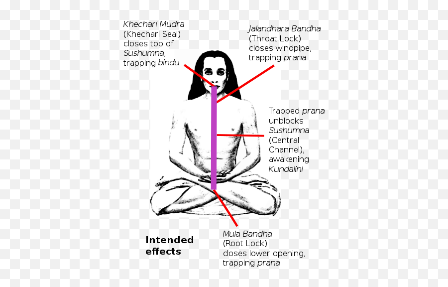 Yoga As Exercise - Wikiwand Kriya Yoga Mahavatar Babaji Emoji,Ashtanga Backbending Emotions Kno