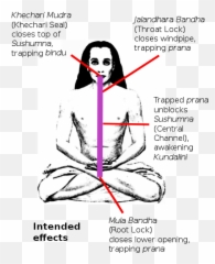 Yoga As Exercise - Wikiwand Kriya Yoga Mahavatar Babaji Emoji,Ashtanga Backbending Emotions Kno