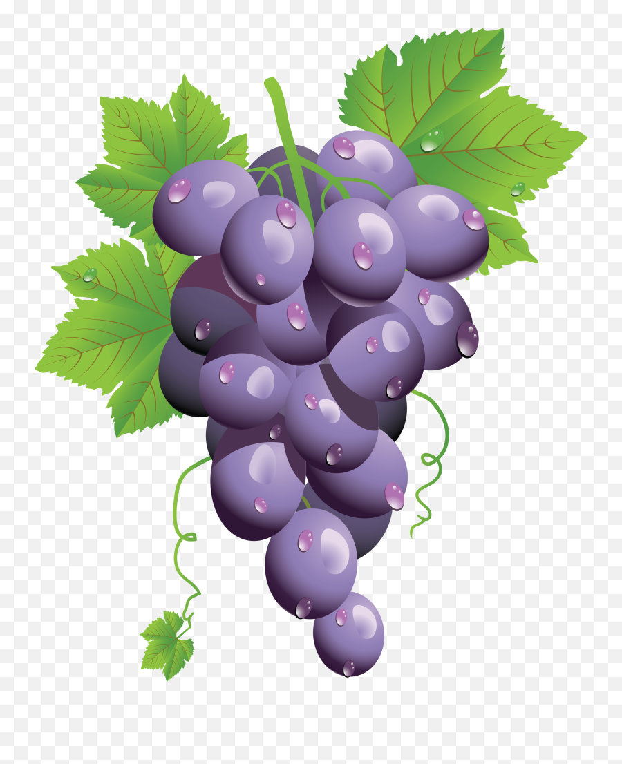 Pin - Grape Illustration Png Emoji,Emoticon Fruite