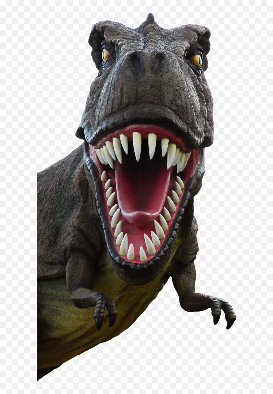 Dinosaur Png High Quality Image - Dinosaur Head Transparent Background Emoji,Dinosaur Head Emoji