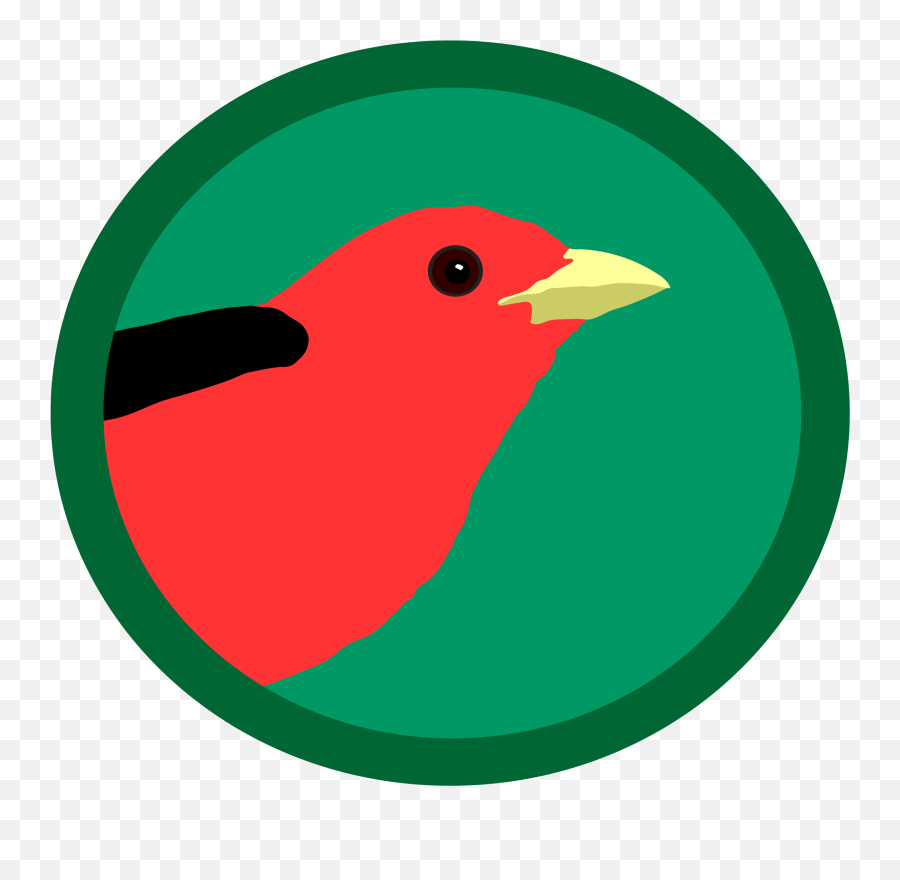 Trees That Attract The Most Birds - Tate London Emoji,Cardinal Bird Facebook Emoticon