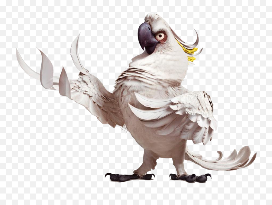 Nigel The Cockatoo - Cockatoo Rio Emoji,Cockatoo Facebook Emoji