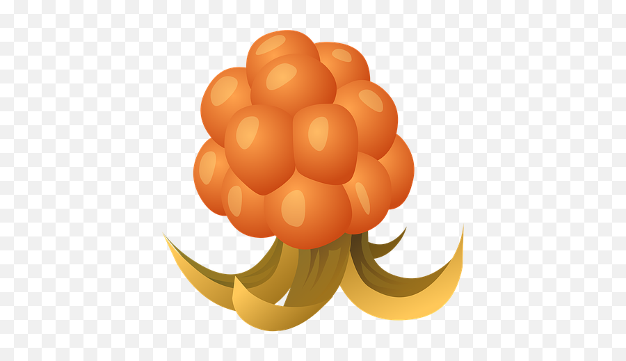 2 Free Salmonberries U0026 Berries Images Emoji,Berries Emoji