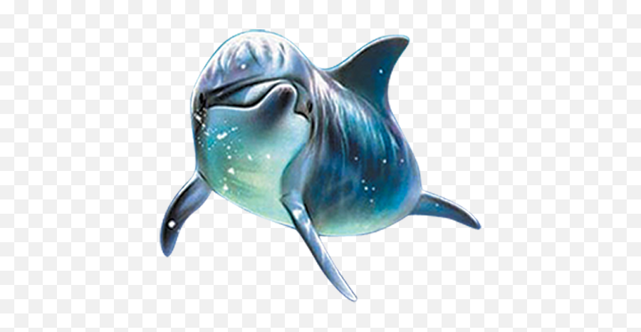 Dolphin Png Hd Images Transparent Vectors Emoji,Emoji Dolphins